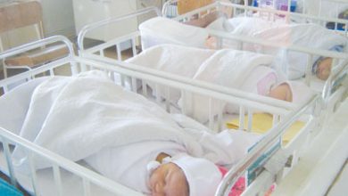 article_429585_1.jpg
