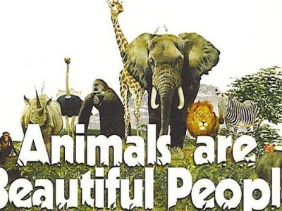 BRAȘOV. „Animalele sunt oameni frumoși” 1 article_429762_1.jpg