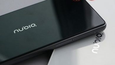 article_430341_1.jpg