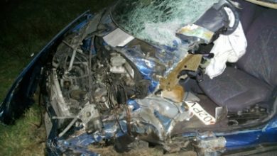 article_430380_1.jpg