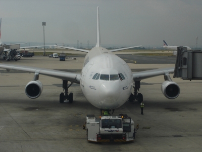 După accidentul aviatic din Alpi se schimbă protocolul de zbor 1 article_430421_1.jpg