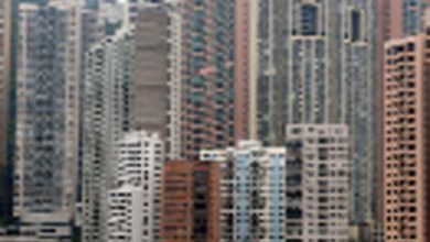 article_430441_1.jpg