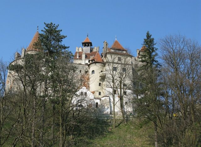 BRAȘOV. Alergători din poveste pentru un scop nobil 1 article_430550_1.jpg