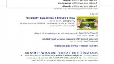 article_431043_1.jpg