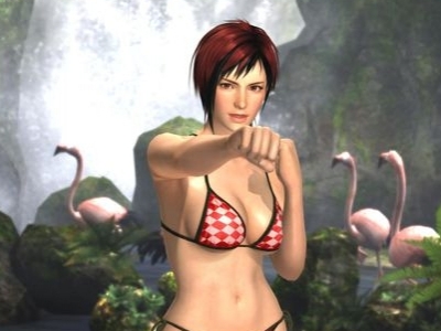 Dead or Alive 5 pentru PC are lipsuri 1 article_431053_1.jpg