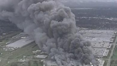 article_431431_1.jpg