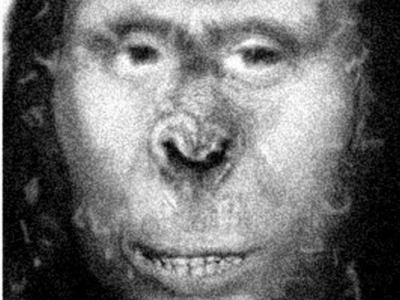 CE DESCOPERIRE! Yeti este... 1 article_431694_1.jpg
