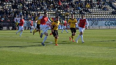 article_432222_2.jpg