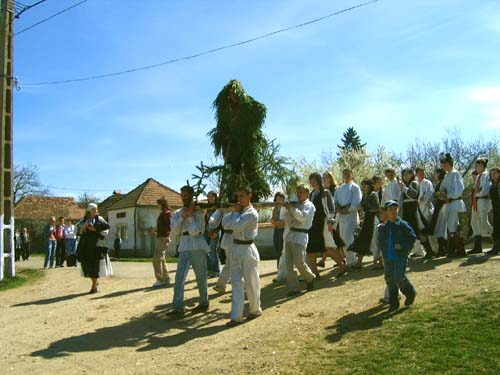 BRAȘOV. „Plugarul”, obicei păstrat în a doua zi de Paști 1 article_432226_1.jpg