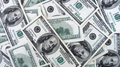 article_432359_1.jpg