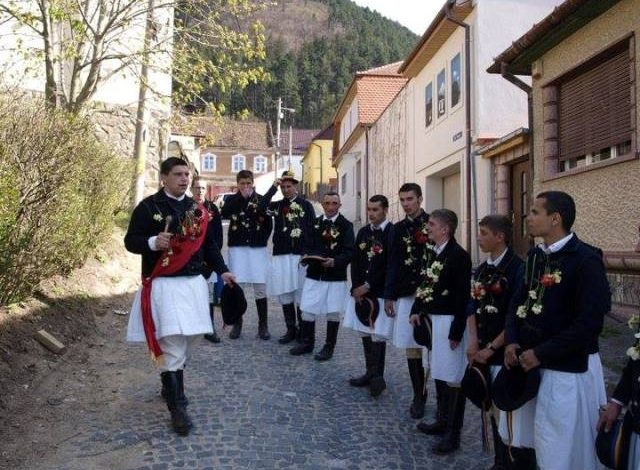 BRAȘOV. Junii vă așteaptă la „Marţea cu plăcinte” 1 article_432574_1.jpg