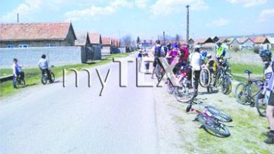 article_432630_1.jpg