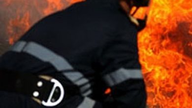 article_432992_1.jpg