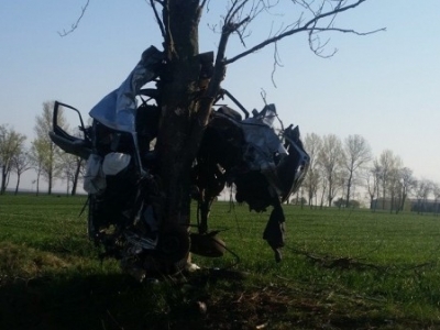 ÎN COPAC! Șoferul a murit, iar bolidul a fost făcut praf - FOTO 1 article_433363_1.jpg