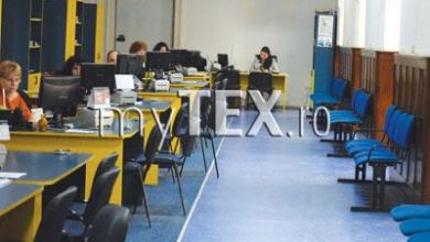 article_433456_1.jpg