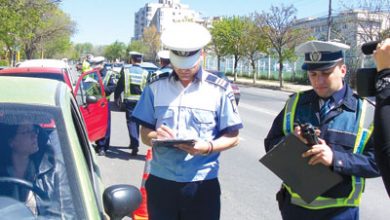 article_434246_1.jpg