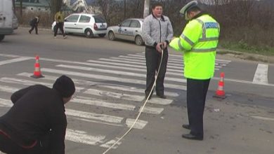 accidentzebra.jpg