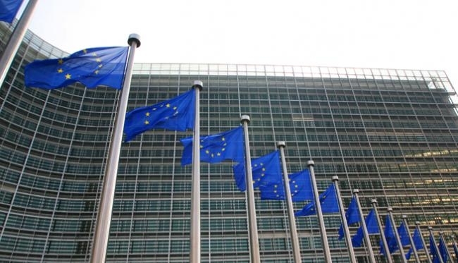 Fata primarului Scripcaru și băiatul lui Năstase, consilieri la Bruxelles! 1 ue8.jpg