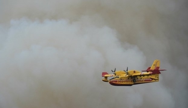 Sute de hectare pârjolite de un incendiu de vegetație 1 9_8.jpg