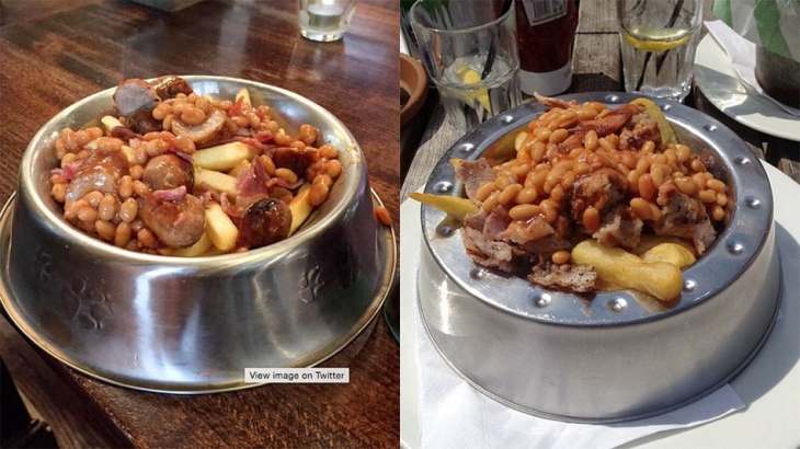 Dogs_Dinner_Meal_Varsity_190316.jpg
