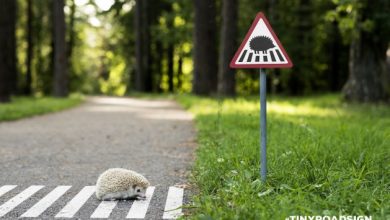 TINYROADSIGN-road-signs-for-animals__880_190300.jpg