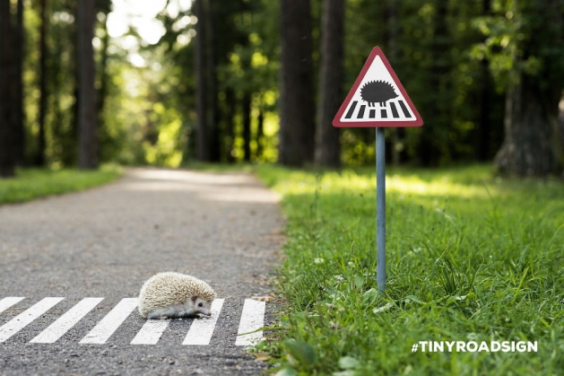 Semne de circulaţie în miniatură! Cu arici, raţe... 1 TINYROADSIGN-road-signs-for-animals__880_190300.jpg