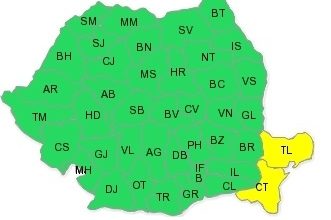 anmlitoral.jpg