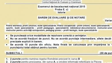 baremistoriesesiunespeciala_2.jpg