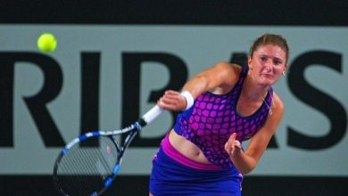 begu-1.jpg