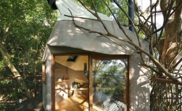 casa in copac 3_190038.jpg