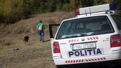 cautare-minor-2.jpg