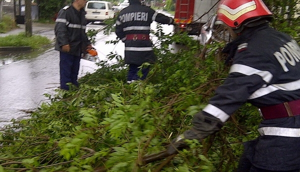 FURTUNĂ. Autoturisme avariate de un copac rupt de vânt 1 copacrupt.jpg