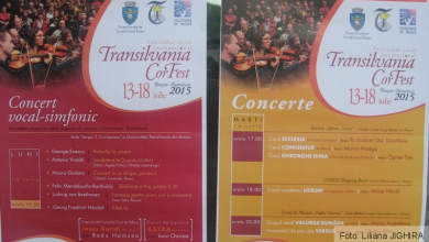 img-1177.jpg