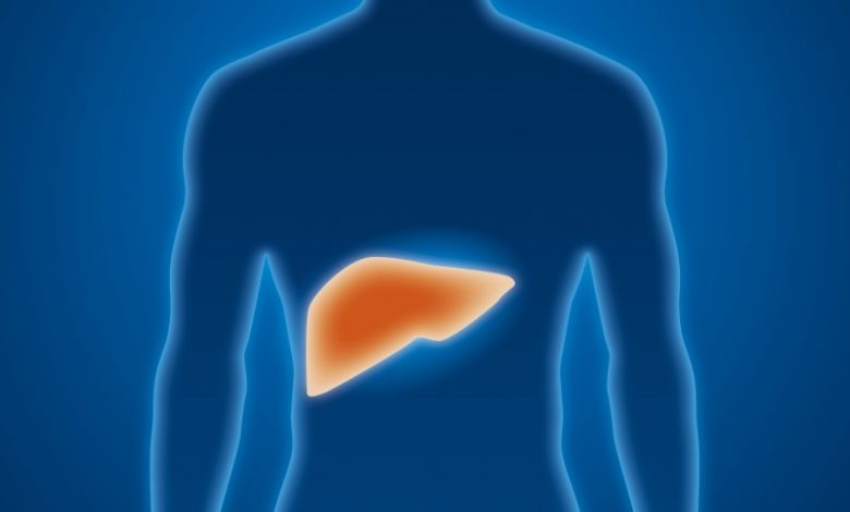 liver.jpg