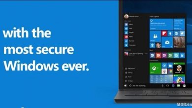 securitate-w10.jpg