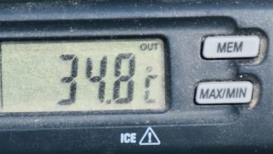 temperatura7iul1m.jpg