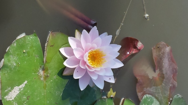 20150815_102410_191852.jpg