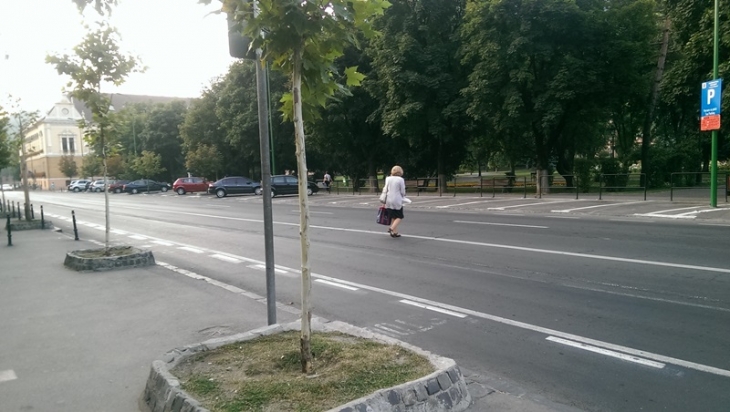 IMAG2576 (1)_191280.jpg