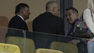 becali_4.jpg