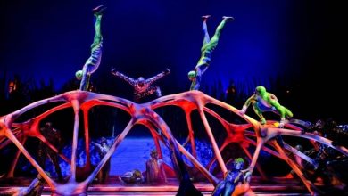 cirque-du-soleil.jpg
