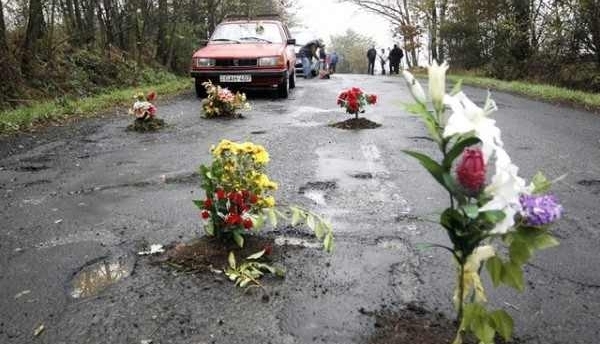 Primarul ameninţă că plantează flori în gropile de pe drum! 1 floripedrum.jpg