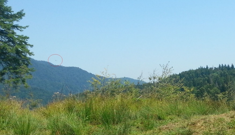 UPDATE. Braşov. Posibile imagini cu planorul dispărut! 1 fotoavion2.jpg