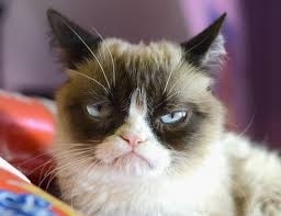 grumpycat.jpg