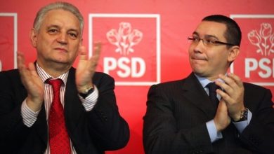 iliesarbusivictorponta.jpg