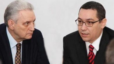 iliesarbusivictorponta1.jpg