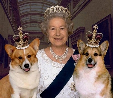 reginacaini1.jpg