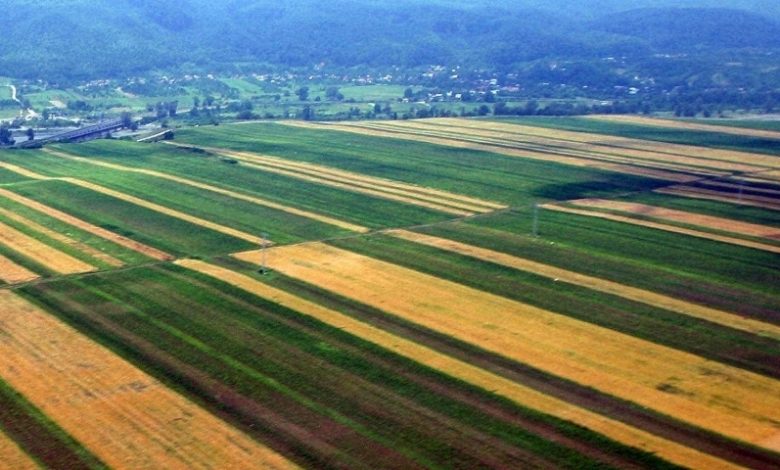 Un bărbat a murit electrocutat, pe un teren agricol din Alba 1 terenuri2.jpg