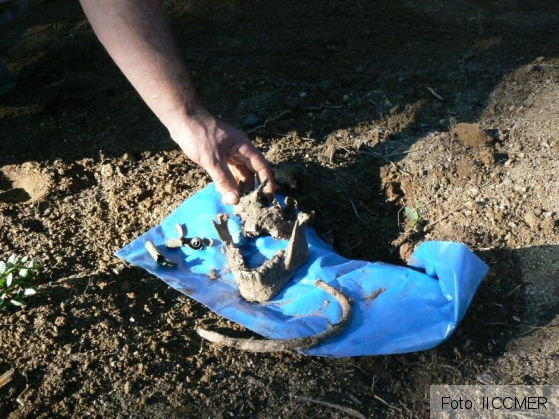 IICCMER oseminte 2_192912.JPG