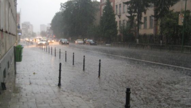 Cod galben de furtuni, inclusiv în BRAŞOV 1 IMG_2518_194308.JPG