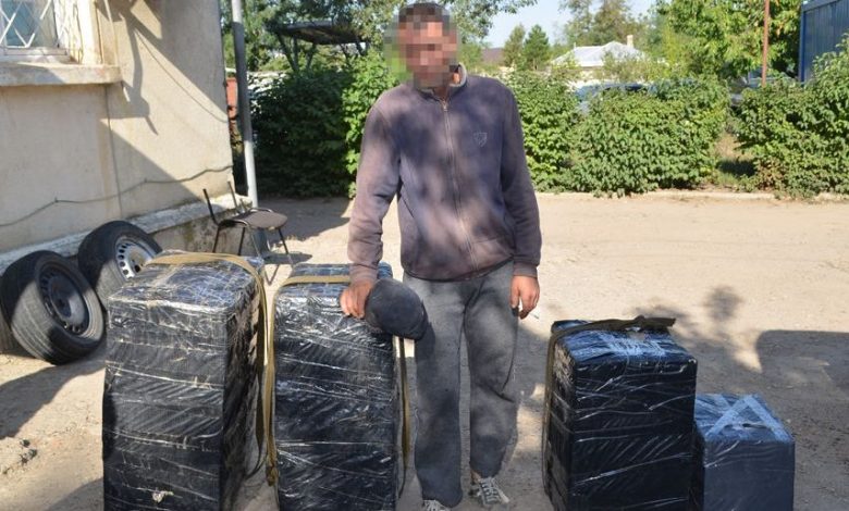 barbattigari.jpg